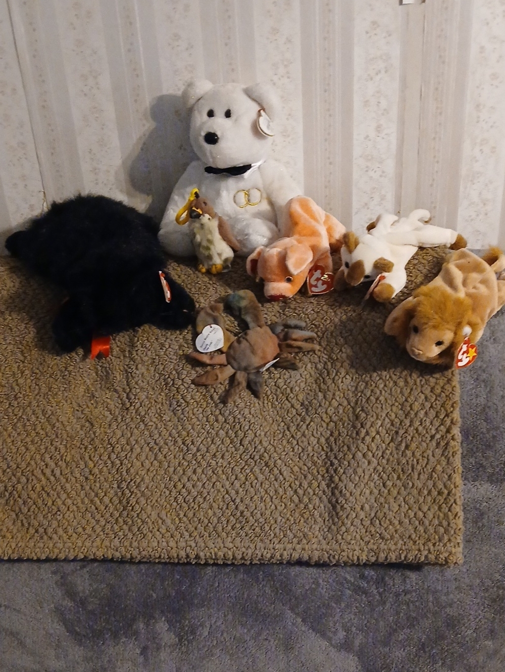 Ty Plush Assorted Small Animal Beanies - White Bear & Brown Lion Variety